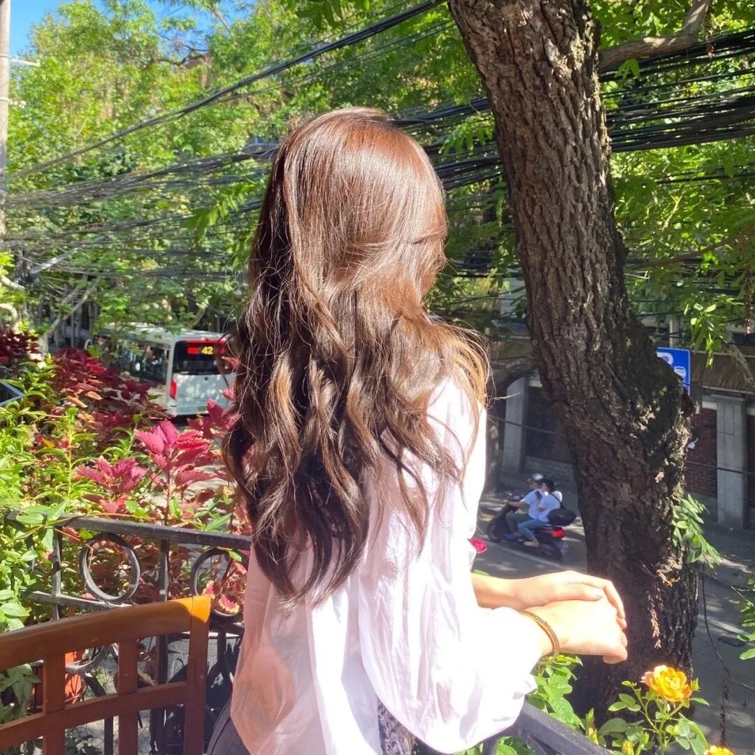银驹